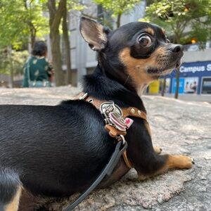 Meet your Posher, Margo